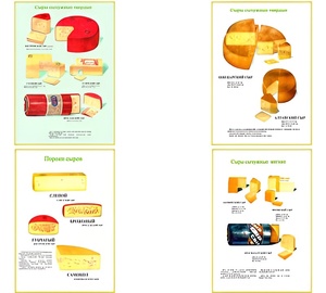 Плакаты ПРОФТЕХ "Ассортимент сыров" (9 пл, винил, 70х100) - fgospostavki.ru - Зеленогорск