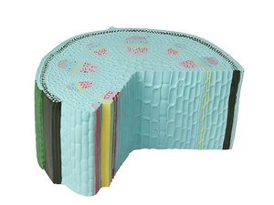 Модель стебля растения - fgospostavki.ru - Зеленогорск