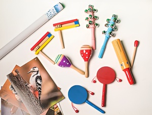 Комплект шумовых музыкальных инструментов - fgospostavki.ru - Зеленогорск