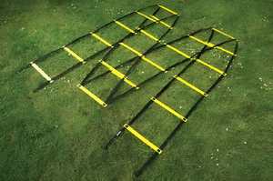 Лестница для тренировок (вариант 1) - fgospostavki.ru - Зеленогорск