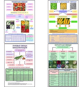 Плакаты ПРОФТЕХ "Классификация овощей" (11 пл, винил, 70х100) - fgospostavki.ru - Зеленогорск