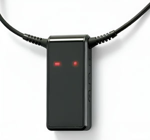 FM-приёмник ARC с индукционной петлей - fgospostavki.ru - Зеленогорск