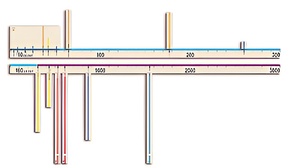 Модель-аппликация "Расстояния во Вселенной" - fgospostavki.ru - Зеленогорск