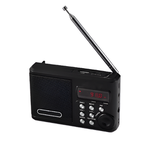 Радиоприемник цифровой с крупными кнопками - fgospostavki.ru - Зеленогорск