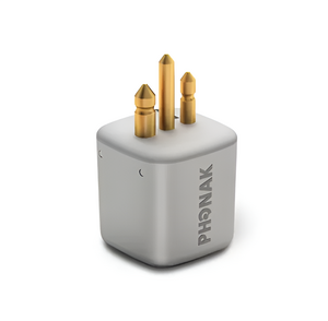 FM-приемник Roger X - fgospostavki.ru - Зеленогорск