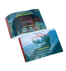 Пособие для слабовидящих - Дикие млекопитающие - fgospostavki.ru - Зеленогорск