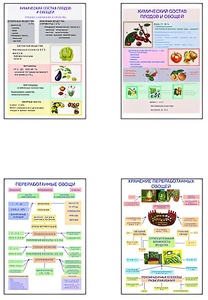 Плакаты ПРОФТЕХ "Классификация овощей и переработка" (8 пл, винил, 70х100) - fgospostavki.ru - Зеленогорск