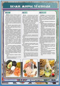 Стенд "Белки. Жиры. Углеводы" - fgospostavki.ru - Зеленогорск