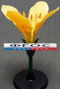 Модель "Цветок капусты" - fgospostavki.ru - Зеленогорск