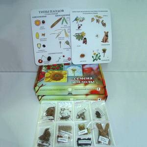 Коллекция "Семена и плоды с раздаточным материалом" - fgospostavki.ru - Зеленогорск