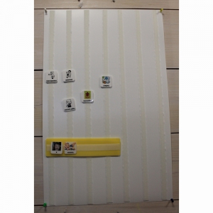 Коммуникативная панель на стену для карточек - fgospostavki.ru - Зеленогорск