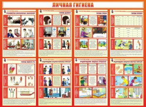 Стенд "Личная гигиена" - fgospostavki.ru - Зеленогорск