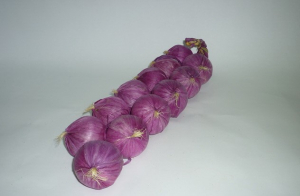 Муляжи "Связка лука" - fgospostavki.ru - Зеленогорск