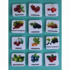 Набор карточек "Ягоды" - fgospostavki.ru - Зеленогорск