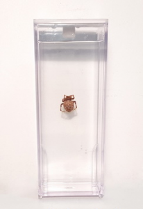 Влажный препарат "Паук" - fgospostavki.ru - Зеленогорск