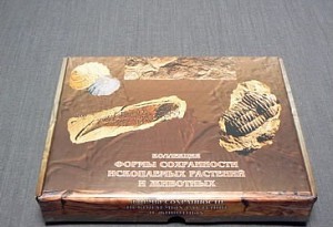 Коллекция "Формы сохранности ископаемых растений и животных" - fgospostavki.ru - Зеленогорск