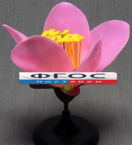 Модель "Цветок персика" - fgospostavki.ru - Зеленогорск