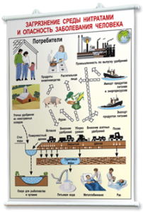 Плакаты по общей экологии для оформления кабинета. - fgospostavki.ru - Зеленогорск