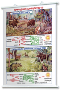 Плакаты по географии России для оформления кабинета. - fgospostavki.ru - Зеленогорск