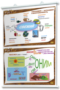 Плакаты по русскому языку для оформления кабинета. - fgospostavki.ru - Зеленогорск