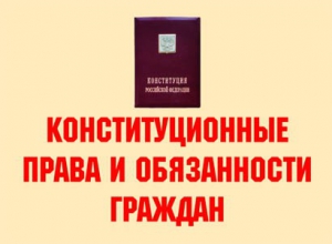 Комплект плакатов "Конституционные права и обязанности граждан" - fgospostavki.ru - Зеленогорск