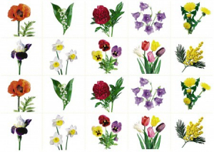 Комплект карточек "Запоминай, играй, считай" - Цветы - fgospostavki.ru - Зеленогорск