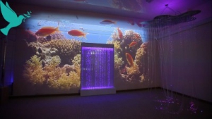 Проекционный дизайн виртуальной реальности Расширеный пакет - fgospostavki.ru - Зеленогорск