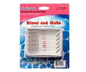 Набор микропрепаратов для микроскопа №1 «Человек» - fgospostavki.ru - Зеленогорск