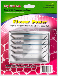 Набор микропрепаратов для микроскопа №6 «Цветы» - fgospostavki.ru - Зеленогорск
