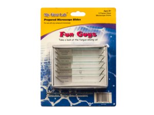 Набор микропрепаратов для микроскопа №8 «Грибы» - fgospostavki.ru - Зеленогорск