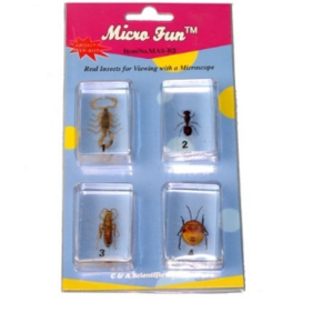 Набор микропрепаратов для стереомикроскопа №14 «Насекомые» - fgospostavki.ru - Зеленогорск