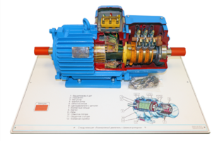 Стенд-планшет «Асинхронный двигатель с фазным ротором» - fgospostavki.ru - Зеленогорск