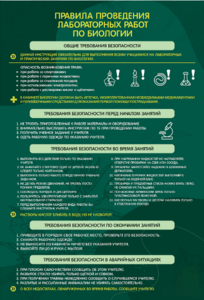 Стенд "Правила выполнения лабораторных работ по биологии" Вариант 1 - fgospostavki.ru - Зеленогорск