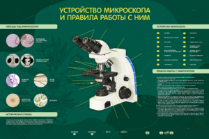 Электрифицированный стенд "Устройство микроскопа и правила работы c ним" - fgospostavki.ru - Зеленогорск