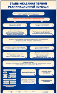 Электрифицированный стенд-тренажер "Этапы оказания первой реанимационной помощи" - fgospostavki.ru - Зеленогорск