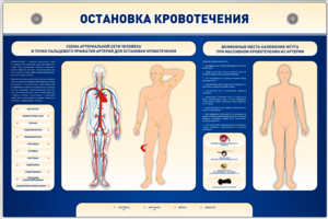 Электрифицированный стенд-тренажер "Остановка кровотечения" - fgospostavki.ru - Зеленогорск