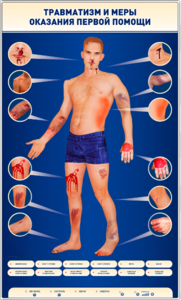 Электрифицированный стенд-тренажер "Травматизм и меры оказания первой помощи" - fgospostavki.ru - Зеленогорск