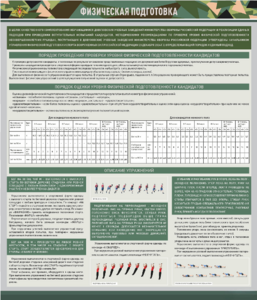 Стенд "Физическая подготовка" - fgospostavki.ru - Зеленогорск