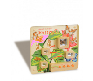 Панель «Жизненный цикл бабочки» - fgospostavki.ru - Зеленогорск