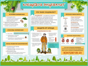 Стенд "Клещевой энцефалит" - fgospostavki.ru - Зеленогорск