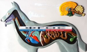 Модель барельефная "Внутреннее строение собаки" - fgospostavki.ru - Зеленогорск