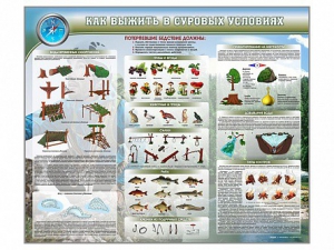 Стенд "Как выжить в суровых условиях" - fgospostavki.ru - Зеленогорск