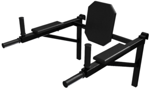 Брусья навесные со спинкой и подлокотниками - fgospostavki.ru - Зеленогорск