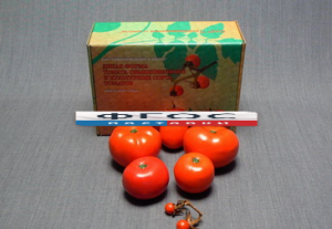 Набор муляжей "Дикая форма и культурные сорта томатов" - fgospostavki.ru - Зеленогорск