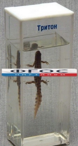 Влажный препарат "Тритон" - fgospostavki.ru - Зеленогорск