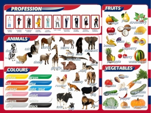 Стенд "Цвета, животные, профессии, фрукты, овощи" - fgospostavki.ru - Зеленогорск