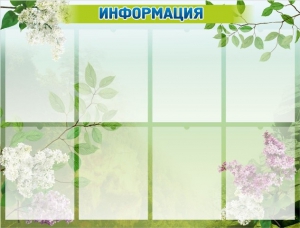 Стенд "Информация" Вариант 13 - fgospostavki.ru - Зеленогорск