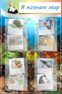 Стенд "Я познаю мир" - fgospostavki.ru - Зеленогорск