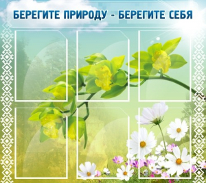 Стенд "Берегите природу - берегите себя" - fgospostavki.ru - Зеленогорск