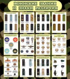 Стенд "Воинские звания и знаки различия" - fgospostavki.ru - Зеленогорск